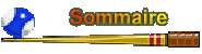 Sommaire