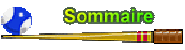 Sommaire